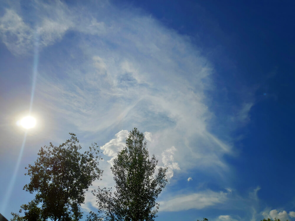 blue sky, trees, and sun glare. - glare on an iPhone camera