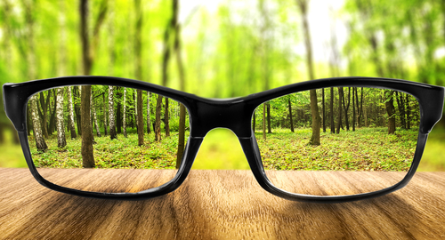 Clear forest in glasses on the background of blurred forest 